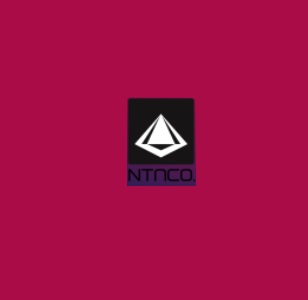 نگین تندیس الماس